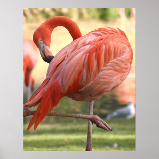  in roze poster (Voorkant)