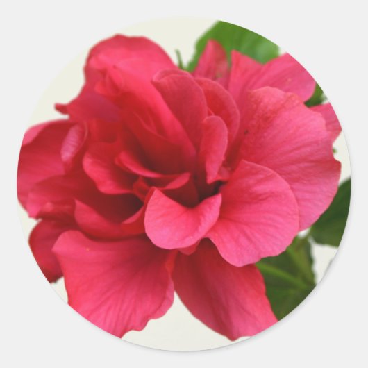 in roze - sticker (Voorkant)