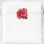 in roze - sticker (Tas)