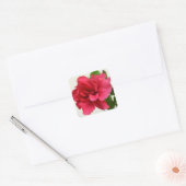 in roze - sticker (Envelop)