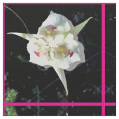 in roze stof (Close Up)