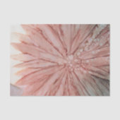 in roze tissuepapier (Voorkant)