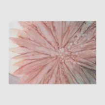 in roze tissuepapier