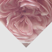  in roze tissuepapier (Detail)