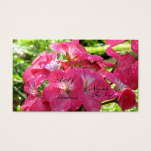 in Roze - Willekeurige handelingen van Kaarten va Visitekaartjes