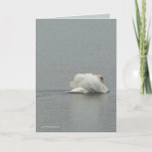 In Schoonheid Kaart (Voorkant)