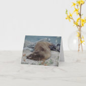 In slaap op de Rotsen (Zeeleeuw) Kaart (Gele Bloem)