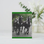 In stap — conceptpaarden briefkaart (Staand voorkant)