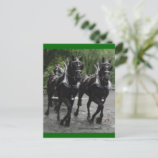In stap — conceptpaarden briefkaart (Staand voorkant)