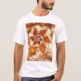 In steen t-shirt