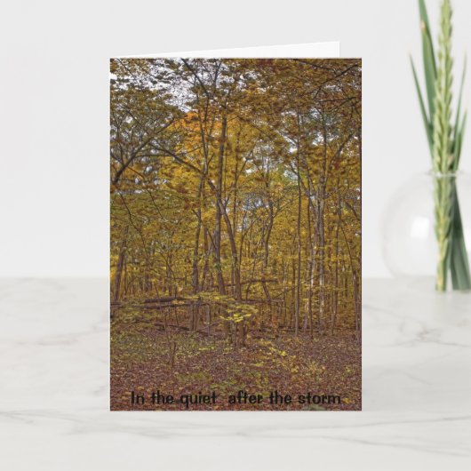 In stil na de kaart van de stormsympathie (Voorkant)