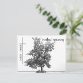 In stille rouw - boom op de weide 2.0 briefkaart (Staand voorkant)