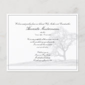 In stille rouw - boom op weide (Achterkant)