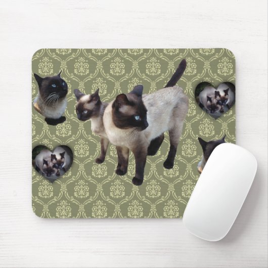 In Thailand geboren Siamese kat Muismat (Met muis)