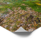 In the Absence of Music Poster (Hoek)