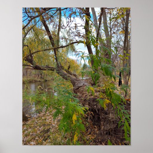 In the Absence of Music Poster (Voorkant)