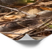 In the Brush Poster (Hoek)