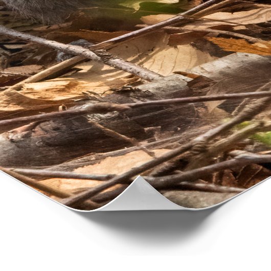 In the Brush Poster (Hoek)