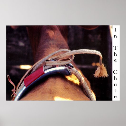 In The Chute Poster (Voorkant)