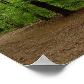 In the Forrest Poster (Hoek)