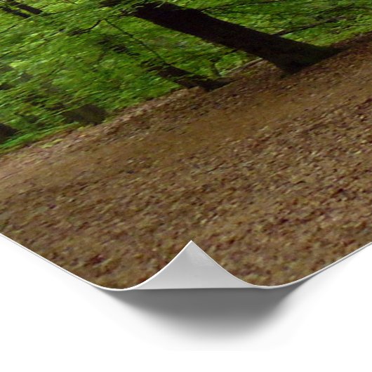 In the Forrest Poster (Hoek)