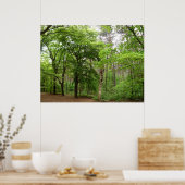 In the Forrest Poster (Keuken)