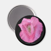 "IN THE PINK" Moederdag Magneten & Buttonnen (Voorkant / Achterkant)