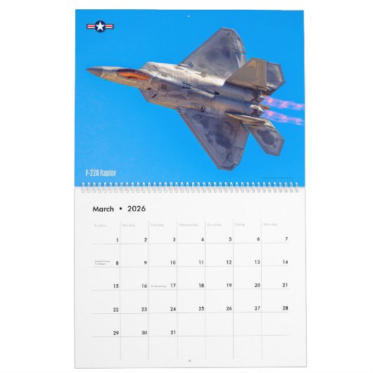 IN THRUST WE TRUST! - US Military Combat Aircraft Kalender (Mar 2026)