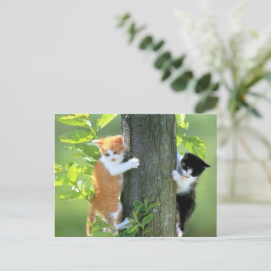 In Trouble nu Briefkaart (Staand voorkant)