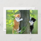 In Trouble nu Briefkaart (Voorkant / Achterkant)