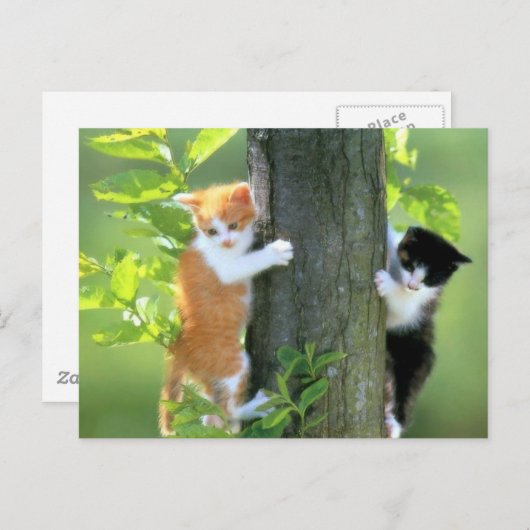 In Trouble nu Briefkaart (Voorkant / Achterkant)