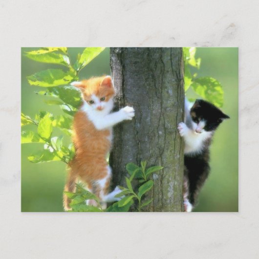 In Trouble nu Briefkaart (Voorkant)