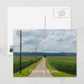 In tussen Corn-velden Briefkaart (Voorkant / Achterkant)