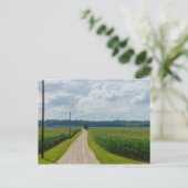 In tussen Corn-velden Briefkaart (Staand voorkant)