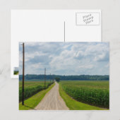 In tussen Corn-velden Briefkaart (Voorkant / Achterkant)