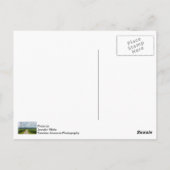 In tussen Corn-velden Briefkaart (Achterkant)