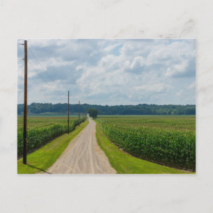 In tussen Corn-velden Briefkaart