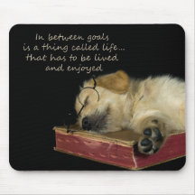 In tussen Doelstellingen