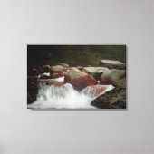 In twijfel over de druk op de Springtime Canvas Afdruk (Voorkant)