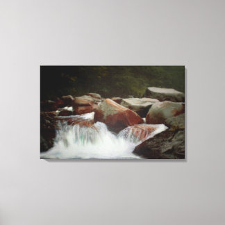 In twijfel over de druk op de Springtime Canvas Afdruk