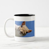 IN UW GEZICHT SQUIRREL TWEEKLEURIGE KOFFIEMOK (Links)