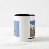 IN UW GEZICHT SQUIRREL TWEEKLEURIGE KOFFIEMOK (Center)