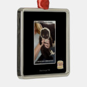 In verscheidene Dumpsters Metalen Ornament (Rechts)