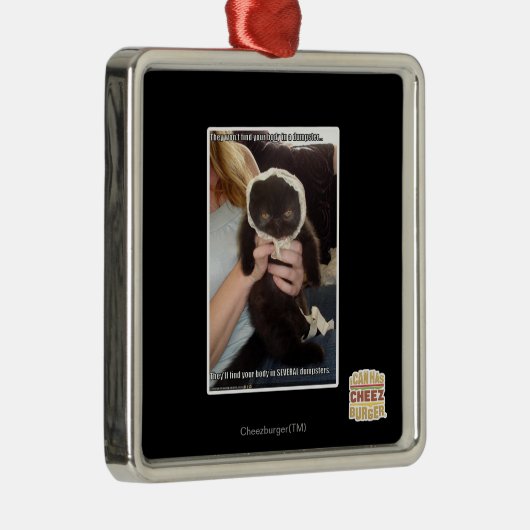 In verscheidene Dumpsters Metalen Ornament (Rechts)