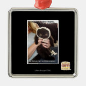 In verscheidene Dumpsters Metalen Ornament (Voorkant)