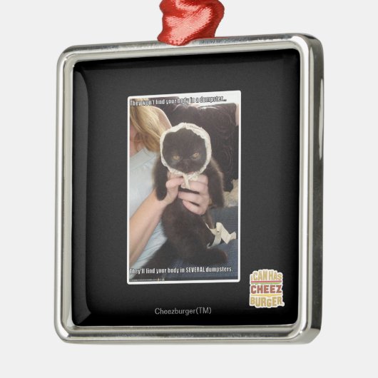 In verscheidene Dumpsters Metalen Ornament (Links)