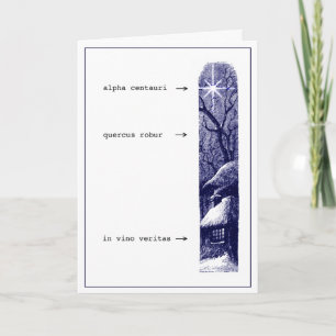 In Vino Veritas Yuletide Card Feestdagen Kaart