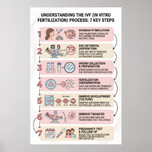 In Vitro Fertilisatie (IVF) Proces Uitgelegd: 7 Poster