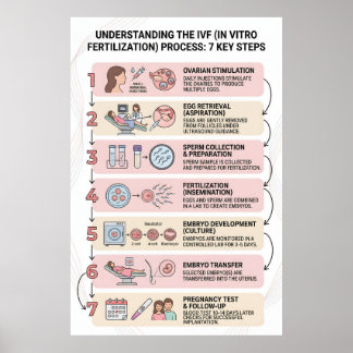 In Vitro Fertilisatie (IVF) Proces Uitgelegd: 7 Poster