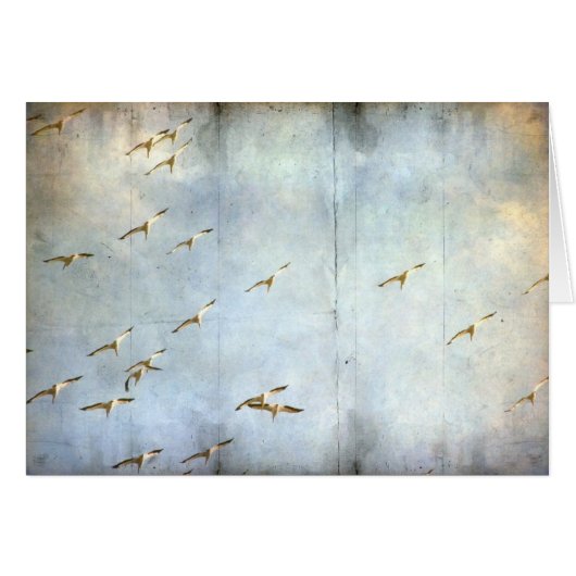 In vlucht (Voorkant Horizontaal)